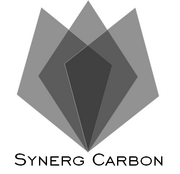 synergcarbon.com